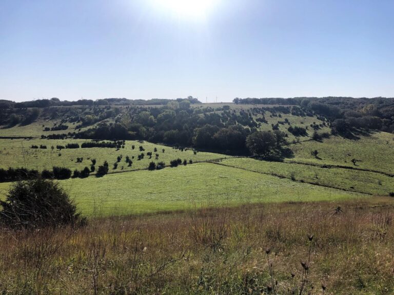 200 Acres CRP & Recreational Paradise-Photo-1572642661