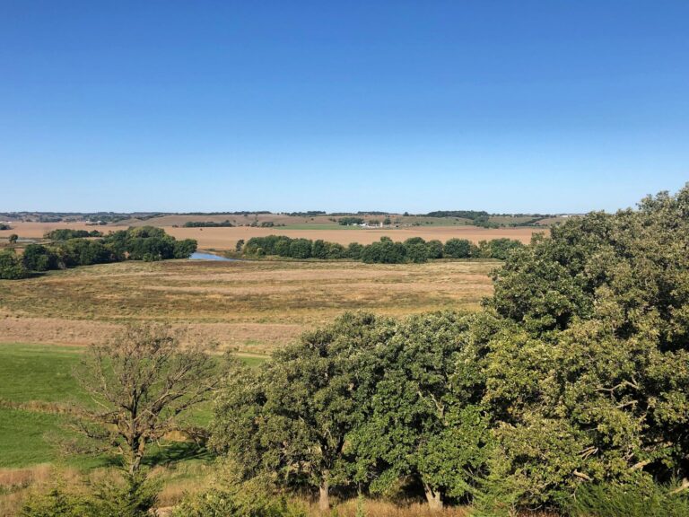 200 Acres CRP & Recreational Paradise-Photo-1572642692
