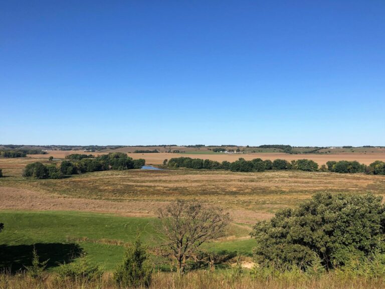 200 Acres CRP & Recreational Paradise-Photo-1572642756