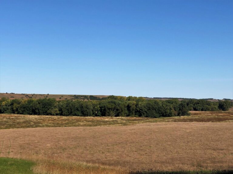 200 Acres CRP & Recreational Paradise-Photo-1572642782