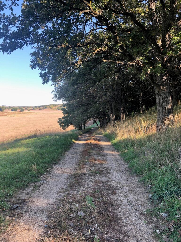 200 Acres CRP & Recreational Paradise-Photo-1572642838