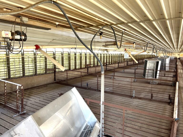 2,000 Head Hog Facility-1-1662741471