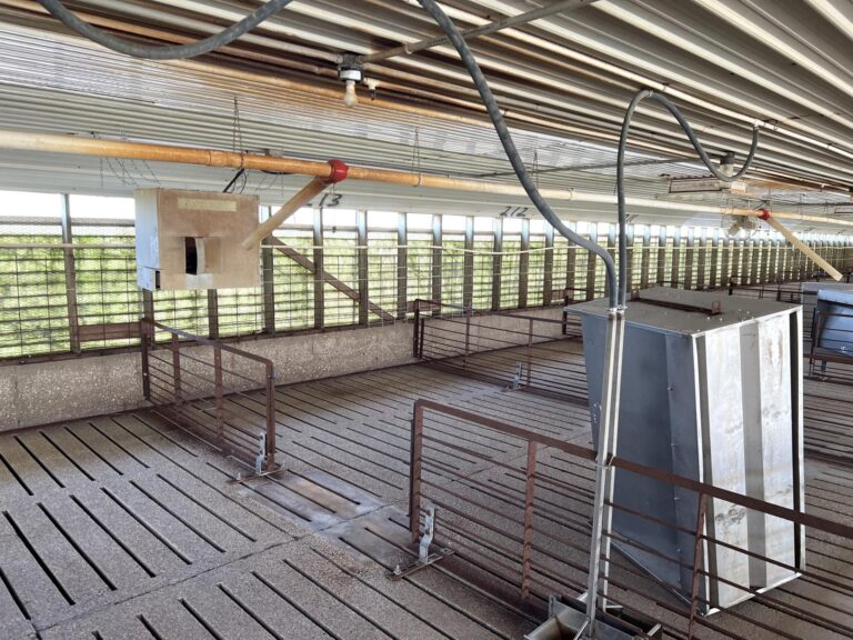 2,000 Head Hog Facility-1-1662741529