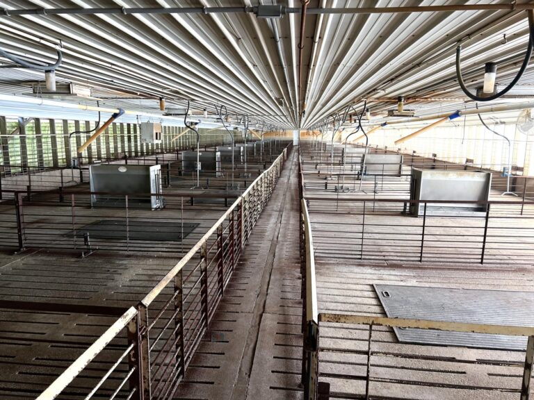 2,000 Head Hog Facility-2-1662741669