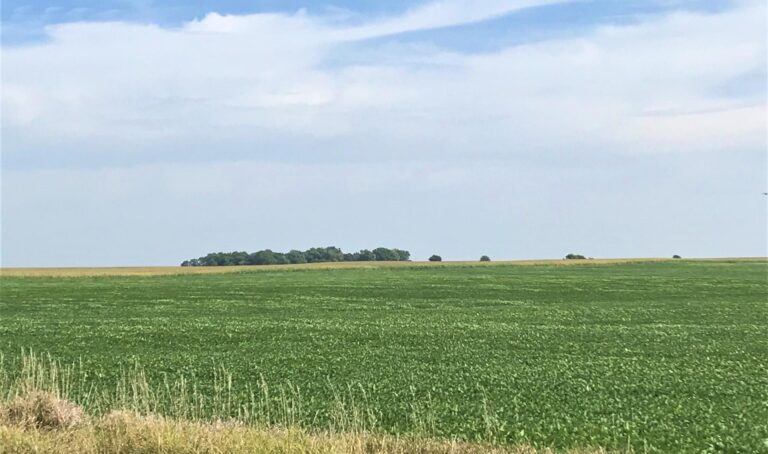 222.12 Surveyed Acres - 3 Tracts-2-1572297820