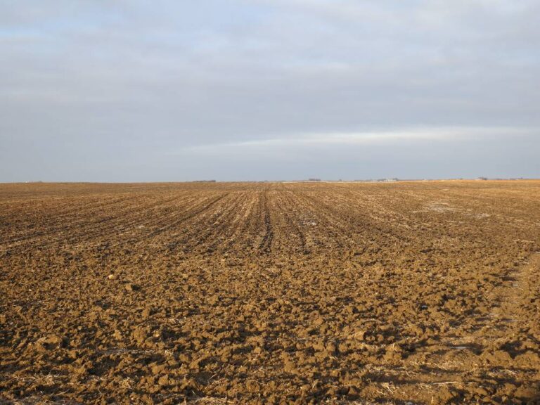 240 ACRES - 2 Tracts-Landscape-2939