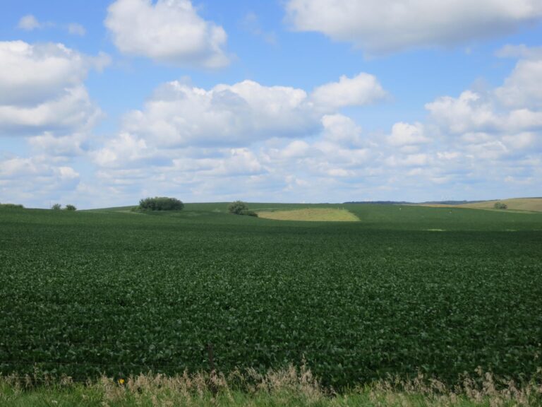 240 Acres-Video-1533311487