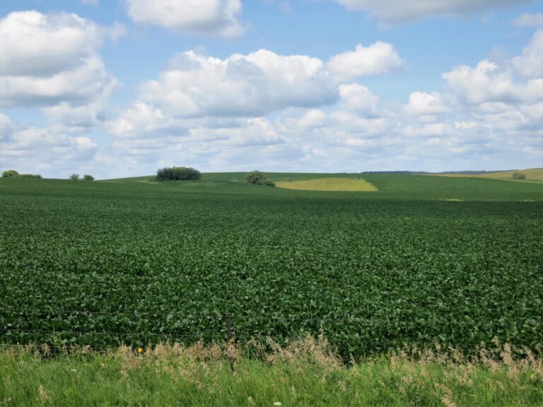 240 Acres-photo-1533315809