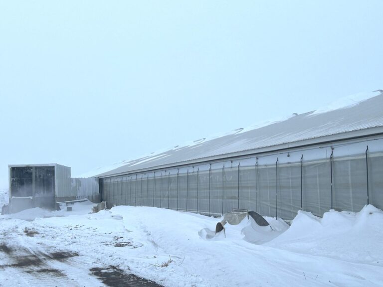 2400 Head Finishing Site-Swine Facility-1707166383