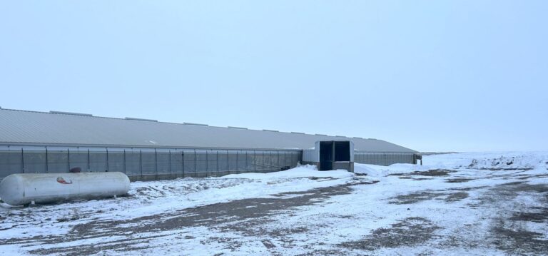 2400 Head Finishing Site-Swine Facility-1707166398