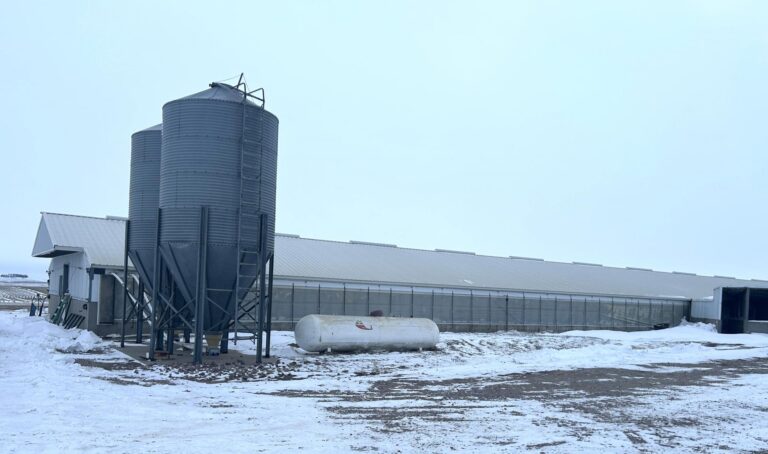 2400 Head Finishing Site-Swine Facility-1707166425