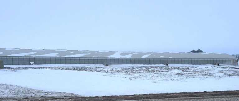 2400 Head Finishing Site-Swine Facility-1707166817