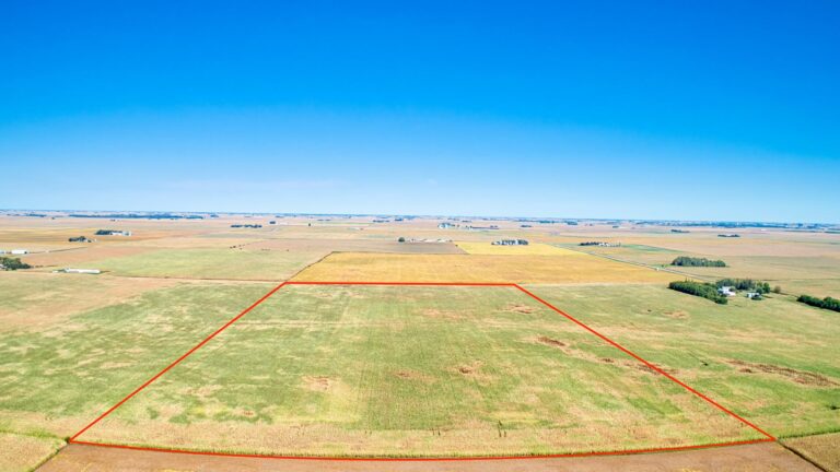 302.31 Acres Selling in 4 Tracts-Tract 3-1632506461