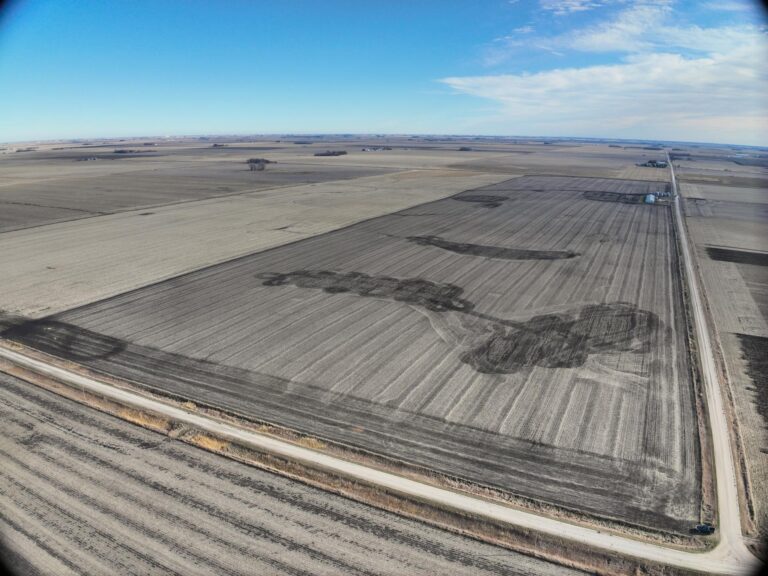 317 Acres m_l-Tract 1-1732052770