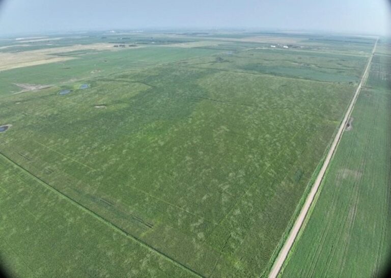 320 Acres m_l - 2 Tracts-1-1723475794