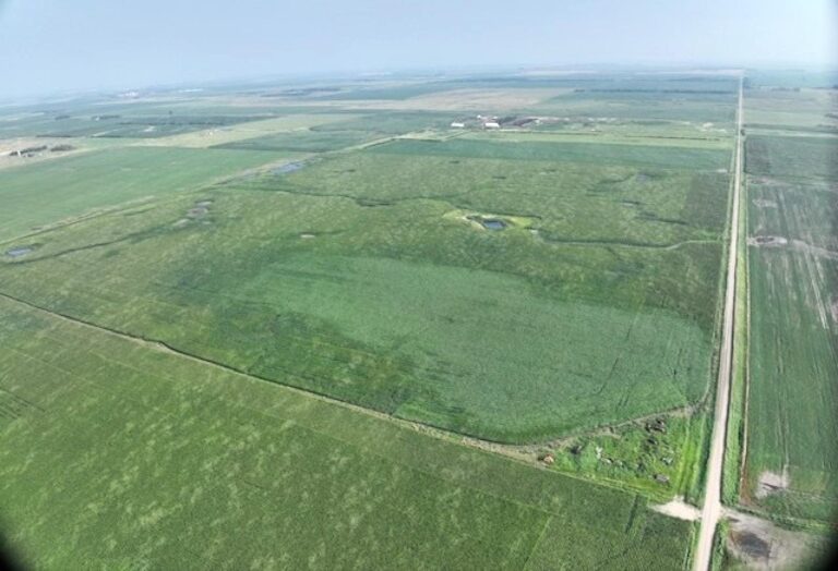 320 Acres m_l - 2 Tracts-Tract 1-1722368527