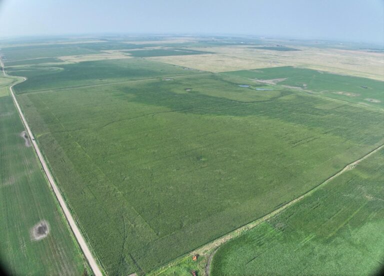 320 Acres m_l - 2 Tracts-Tract 2-1722368549