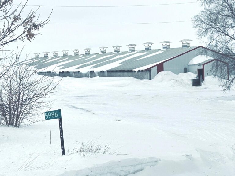 3,300 Head Finishing Site-Swine Facility-1675975559