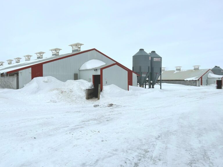 3,300 Head Finishing Site-Swine Facility-1675975581