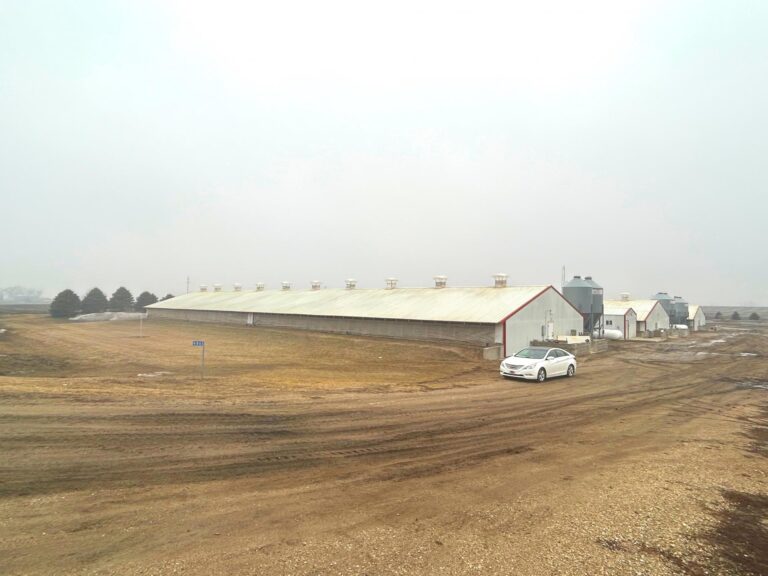 3,300 Head Finishing Site-Swine Facility-1679606413