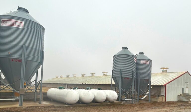 3,300 Head Finishing Site-Swine Facility-1679606458