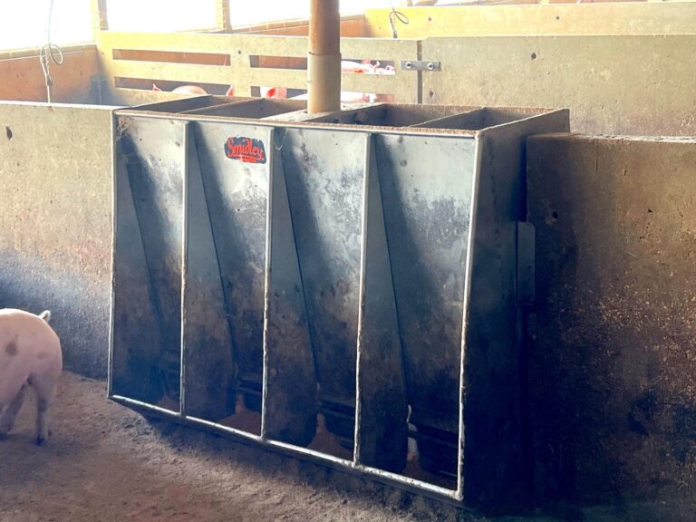 3,300 Head Finishing Site-Swine Facility-1679606490