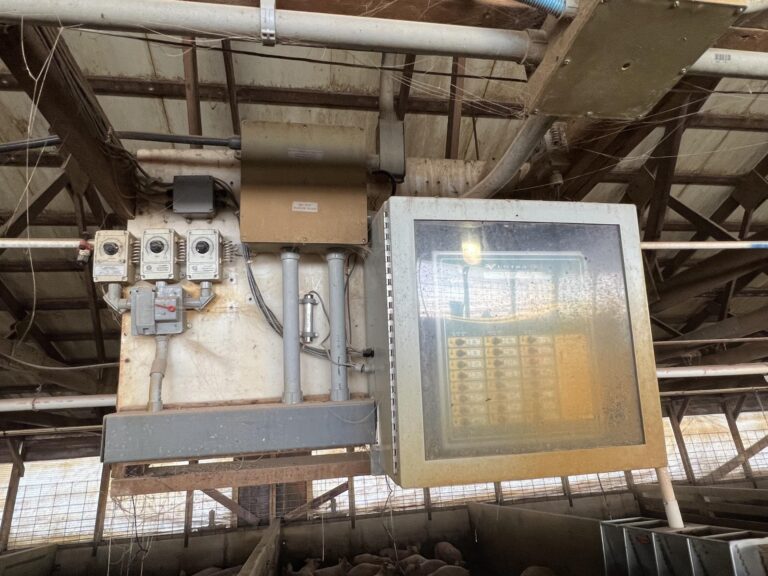 3,300 Head Finishing Site-Swine Facility-1679606505