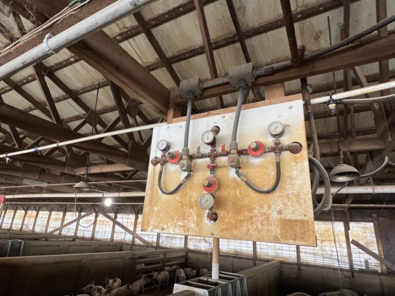 3,300 Head Finishing Site-Swine Facility-1679606529