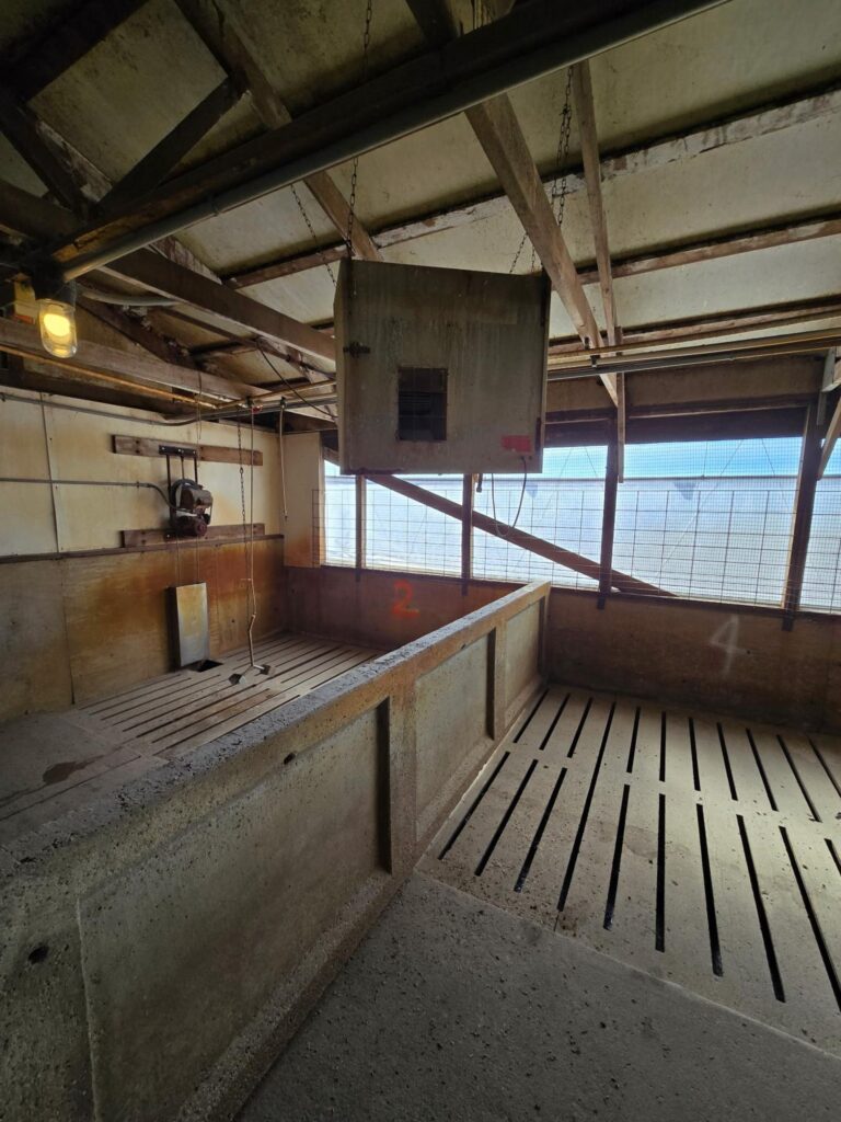 3300 Head Site - Online Only Auction-Swine Facility-1743694573
