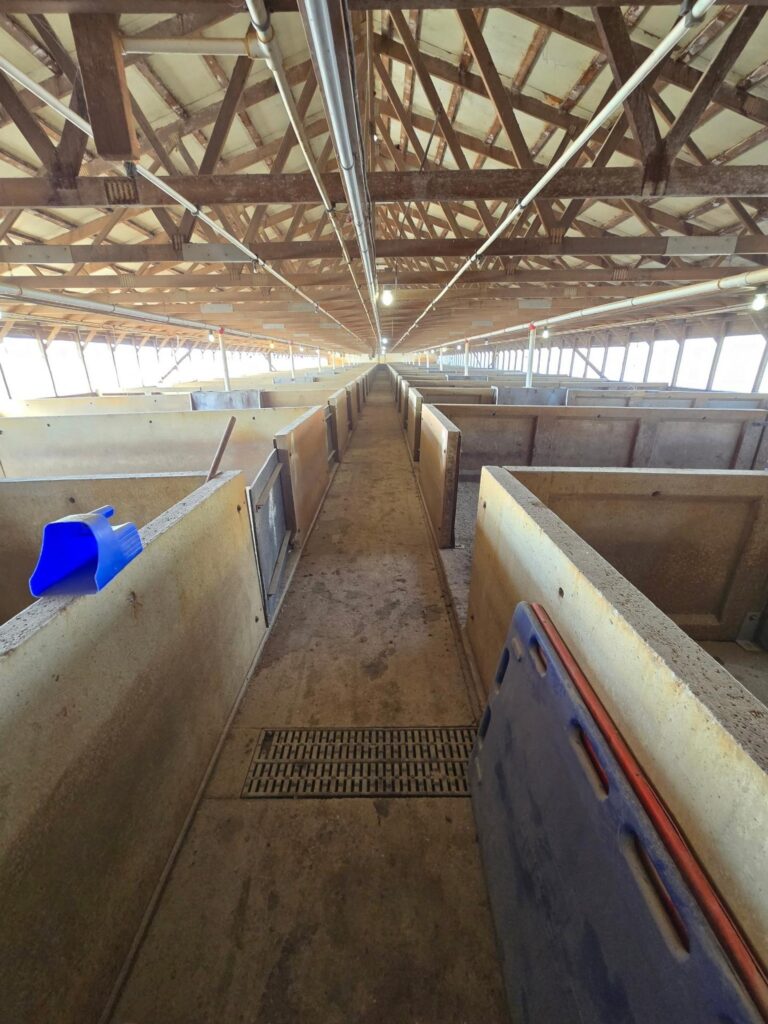 3300 Head Site - Online Only Auction-Swine Facility-1743694600