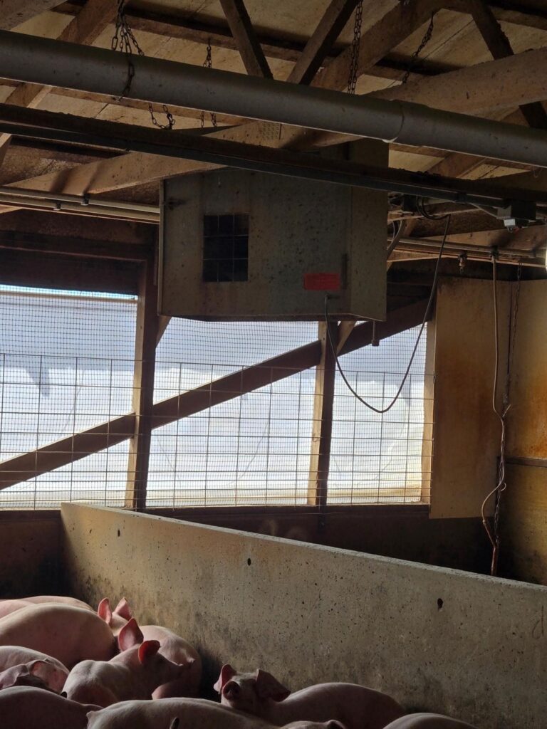 3300 Head Site - Online Only Auction-Swine Facility-1743694618