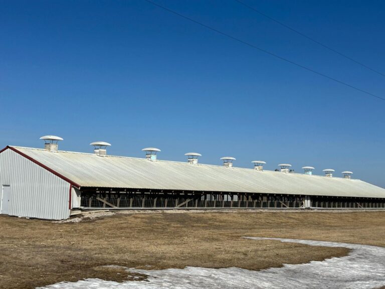 3300 Head Site - Online Only Auction-Swine Facility-1743694680