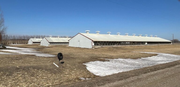 3300 Head Site - Online Only Auction-Swine Facility-1743694705