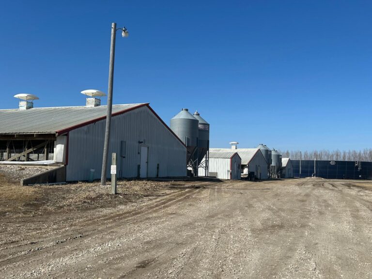 3300 Head Site - Online Only Auction-Swine Facility-1743694729