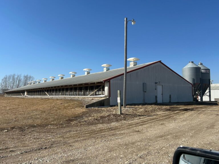 3300 Head Site - Online Only Auction-Swine Facility-1743694755