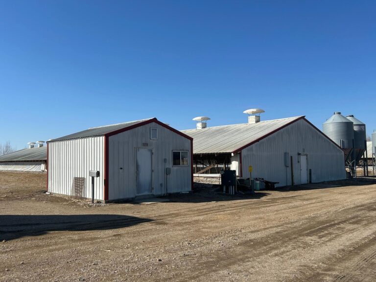 3300 Head Site - Online Only Auction-Swine Facility-1743694801