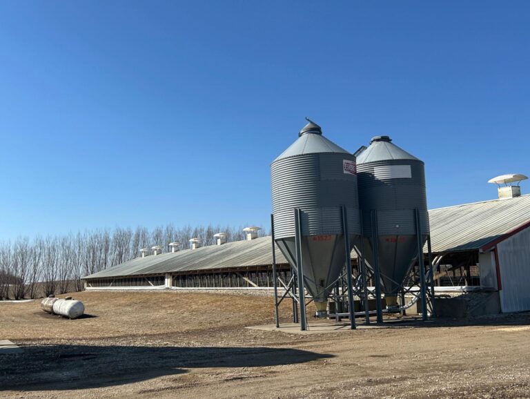 3300 Head Site - Online Only Auction-Swine Facility-1743694839
