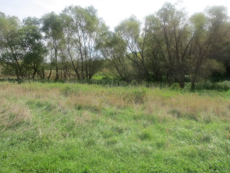 354 ACRES in 6 Tracts-Grove-2869
