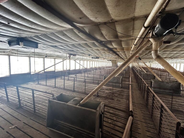 3,800 Head Swine Facility - Sealed Bid Auction-Swine Facility-1673547659
