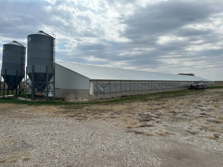 3,800 Head Swine Facility - Sealed Bid Auction-Swine Facility-1683579180