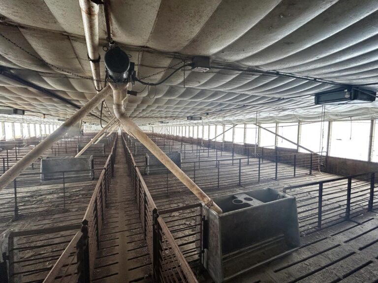 3,800 Head Swine Facility - Sealed Bid Auction-Swine Facility-1704319314