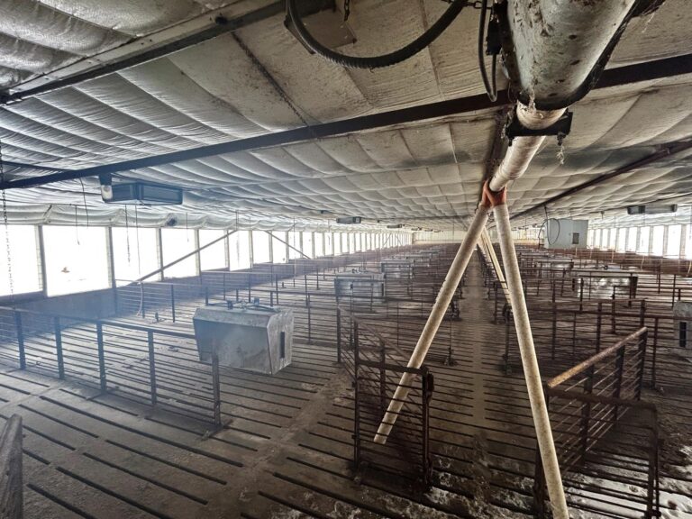 3,800 Head Swine Facility - Sealed Bid Auction-Swine Facility-1704319360