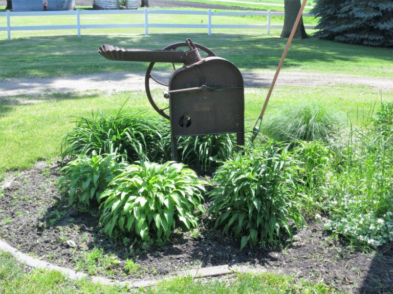 4.25 Acre Acreage-Landscaping-1561136221