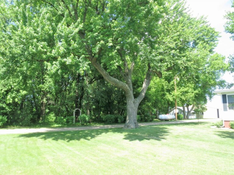4.25 Acre Acreage-Side yard-1561136796