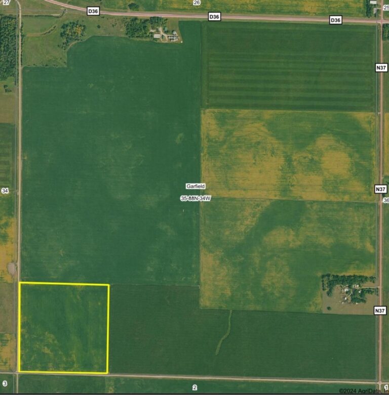 40 Acres m_l-1-1723048026