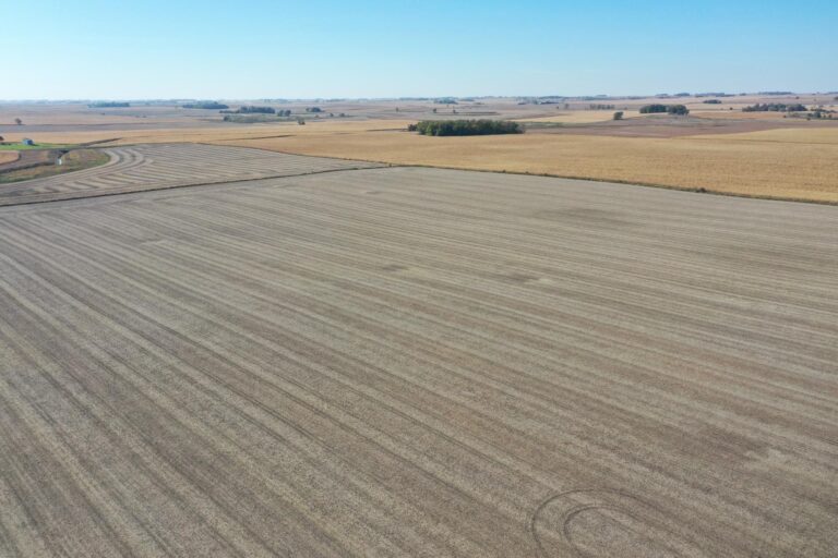 40 Acres m_l-2-1571413301