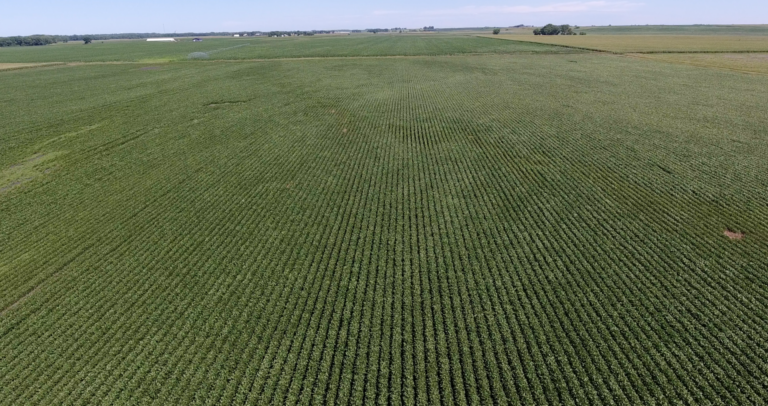 40 Acres m_l-2-1595013820