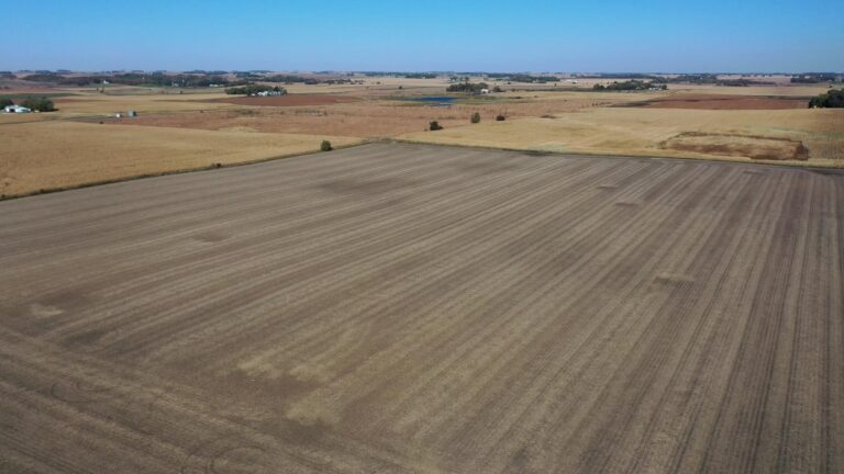 40 Acres m_l-3-1571413325