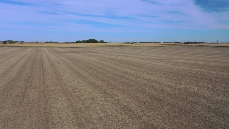 40 Acres m_l-4-1571413357
