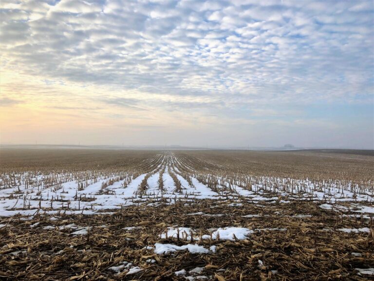 40 Acres m_l-photo-1545842571